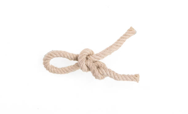 istock sea rope knot on white isolated background 981636520