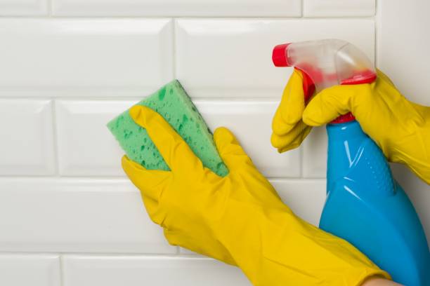 istock Professional cleaning service. Hands in rubber protective gloves with detergent and sponge 981641992