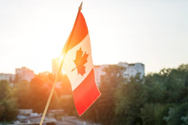 Flag of Canada from window sunset background Flag of Canada from window on sunset background canada day photos stock pictures, royalty-free photos & images