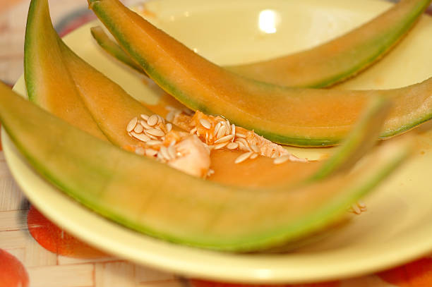 honeydew melon stock photo