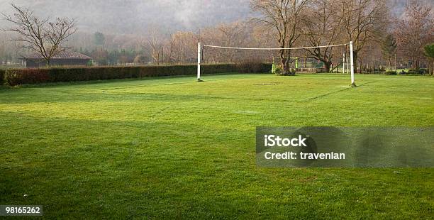 Pallavolo - Fotografie stock e altre immagini di Albero - Albero, Ambientazione esterna, Colore verde