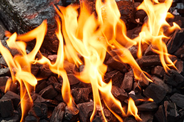 Orange wild fire burning on black coal and ash, prepared for barbecue grill