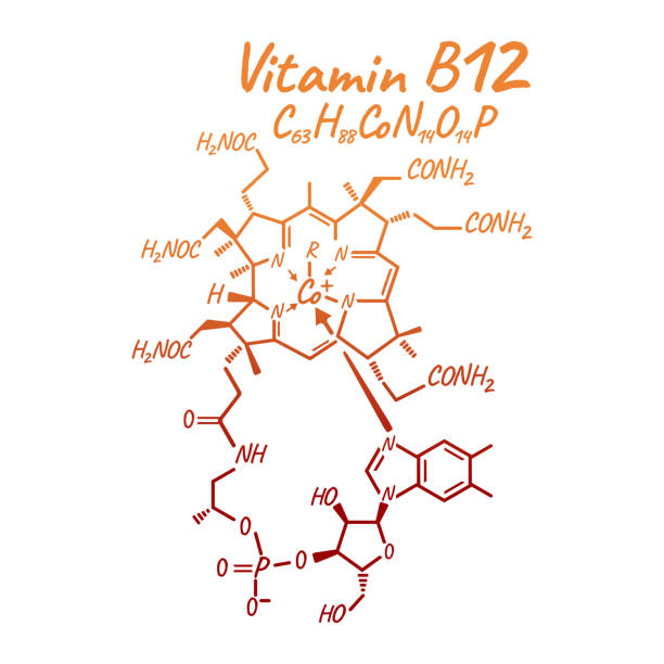 Vitamin B12 Label and Icon. Chemical Formula and Structure Logo. Vector Illustration Vitamin B12 Label and Icon. Chemical Formula and Structure Logo. Vector Illustration. alpha tocopherol stock illustrations