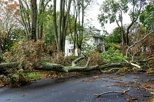 Súper tormenta Sandy daños photo