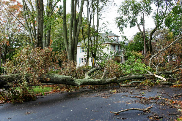 Super Storm Sandy Damage stock photo