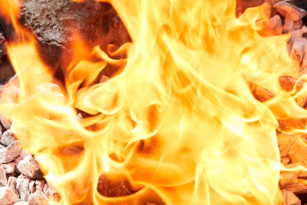 Orange wild fire burning on black coal and ash, prepared for barbecue grill