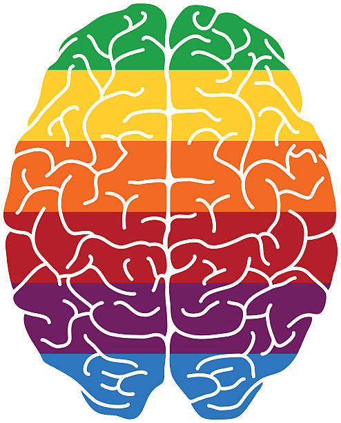 rainbow головного мозга - brain concentration mental illness intelligence stock illustrations