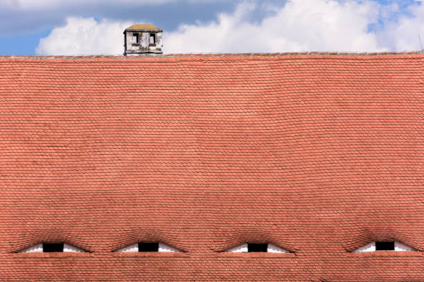 istock Roof with eye-like windows. Famous eyes. 981685730