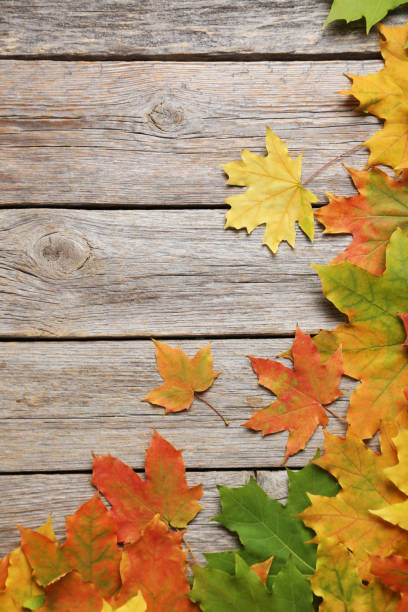 istock Autumn leafs on grey wooden table 981694784