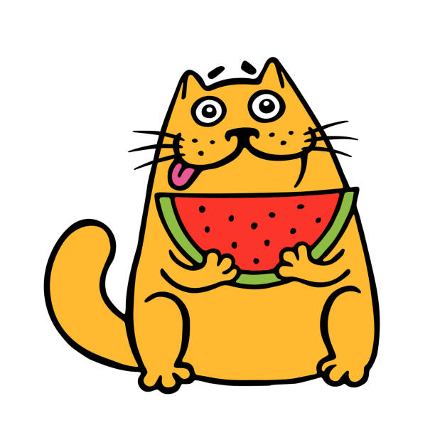 359 Cartoon Of Wet Cat Illustrations & Clip Art - iStock