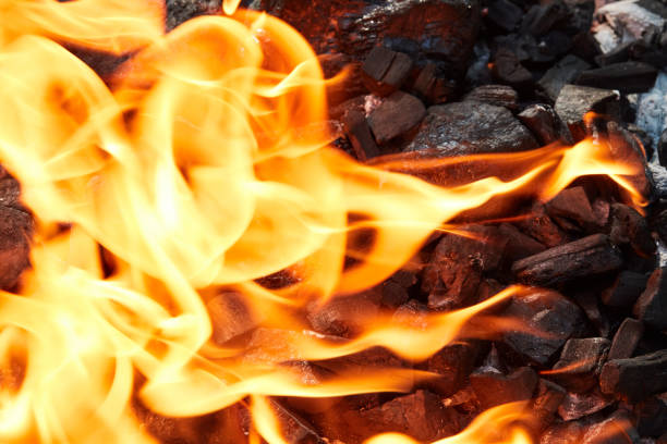 Orange wild fire burning on black coal and ash, prepared for barbecue grill