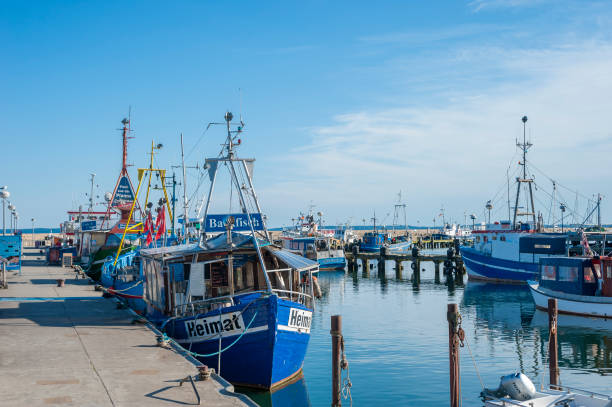 Fishing port, Sassnitz, Rügen, Mecklenburg-Vorpommern, Germany, Europe