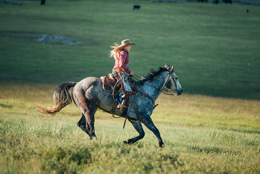 Cowboys and cowgirls riding beautiful horses on the ranch and in nature