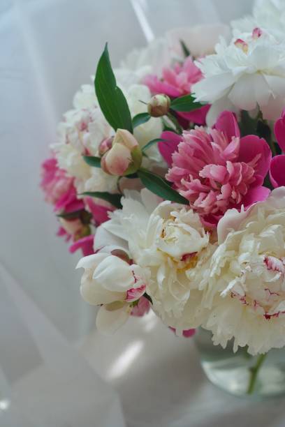 istock Floral posh beauty 981729092