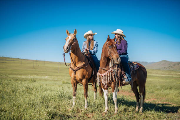istock Friends on horses in summer 981731922