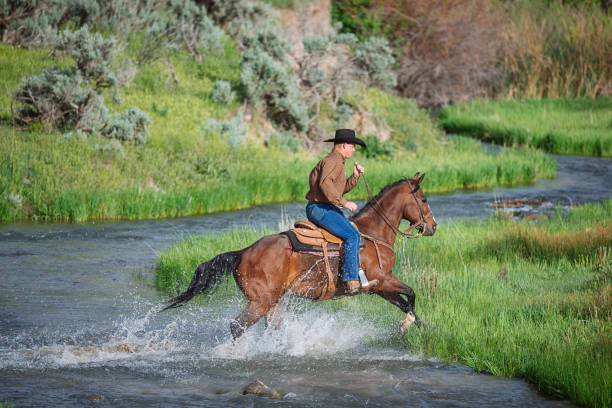 istock Horse adventure in rural America 981733228