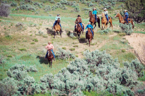 istock Enjoying the nature and horseback riding 981740420