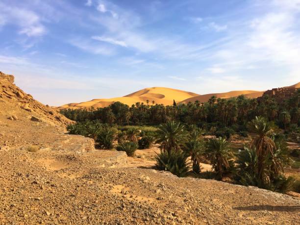 istock Oasis of Taghit 981741060