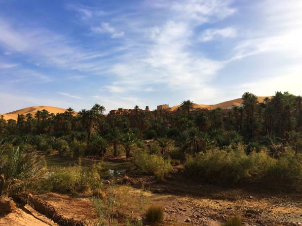 istock Oasis of Taghit and The Old Ksar 981741474