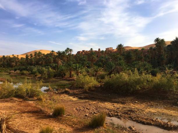 istock Oasis of Taghit and The Old Ksar 981741646