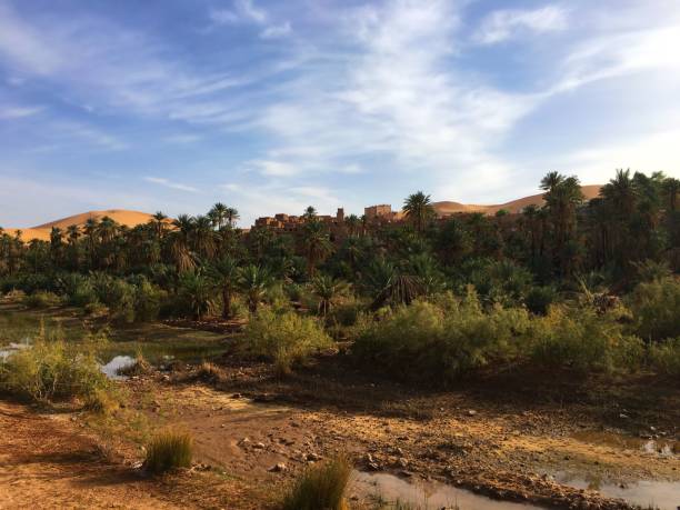 istock Oasis of Taghit and The Old Ksar 981741872
