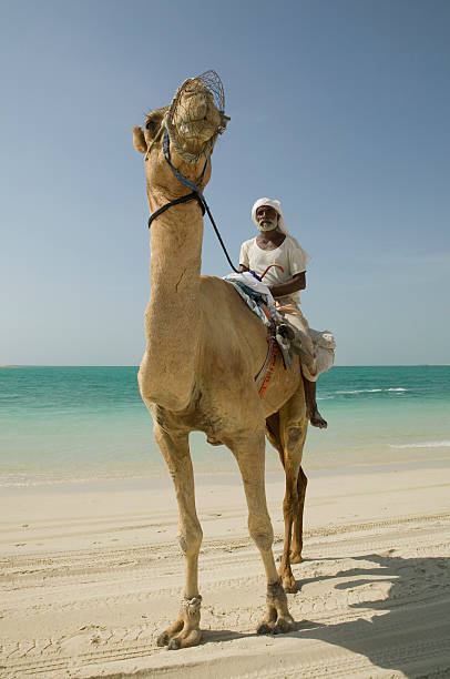istock The last fisherman 98174193
