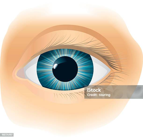 Oko - Stockowe grafiki wektorowe i więcej obrazów Błękitne oczy - Błękitne oczy, Część, Grafika wektorowa