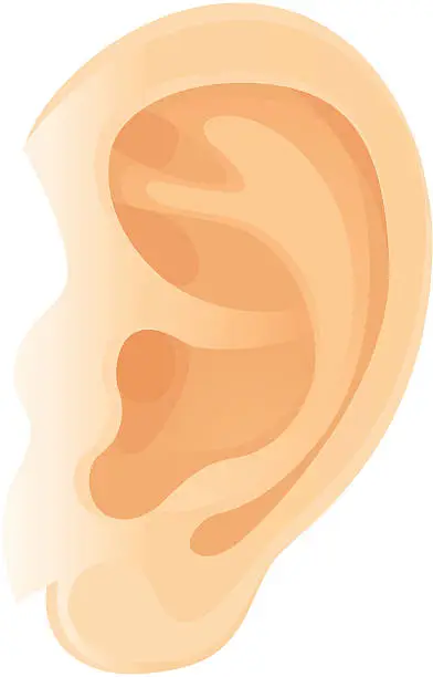 Vector illustration of Ear