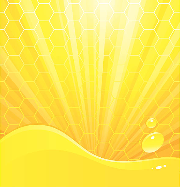 Honey vector art illustration