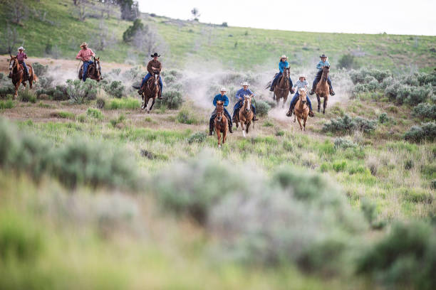 istock Enjoying the nature and horseback riding 981746756