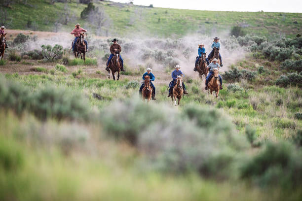 istock Enjoying the nature and horseback riding 981746850