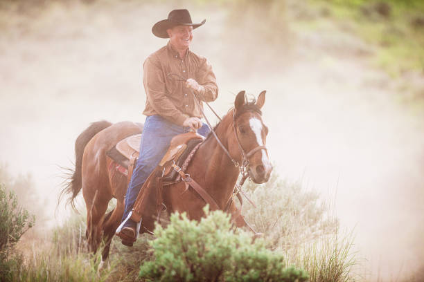 istock Cowboy on his horse in sunset 981748582