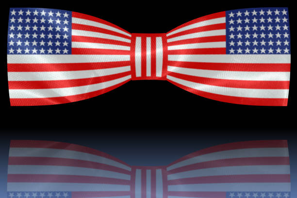 istock Bow tie with American flag motif 981754480