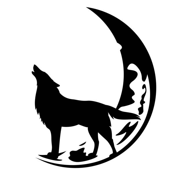 howling wolf and crescent moon vector howling wolf standing at crescent moon black and white vector design moon silhouettes stock illustrations