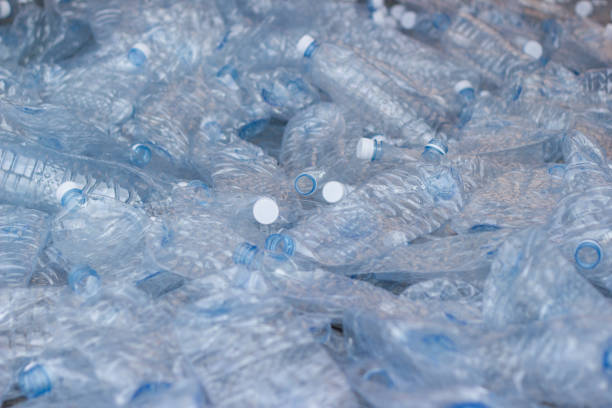istock plastic bottles, Concept of recycling the Empty used plastic bottle 981757876