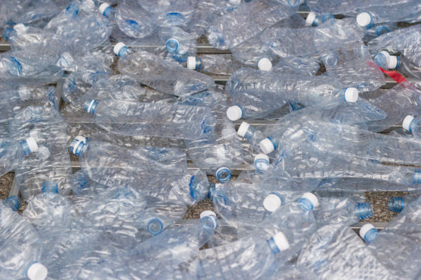 istock plastic bottles, Concept of recycling the Empty used plastic bottle 981758856