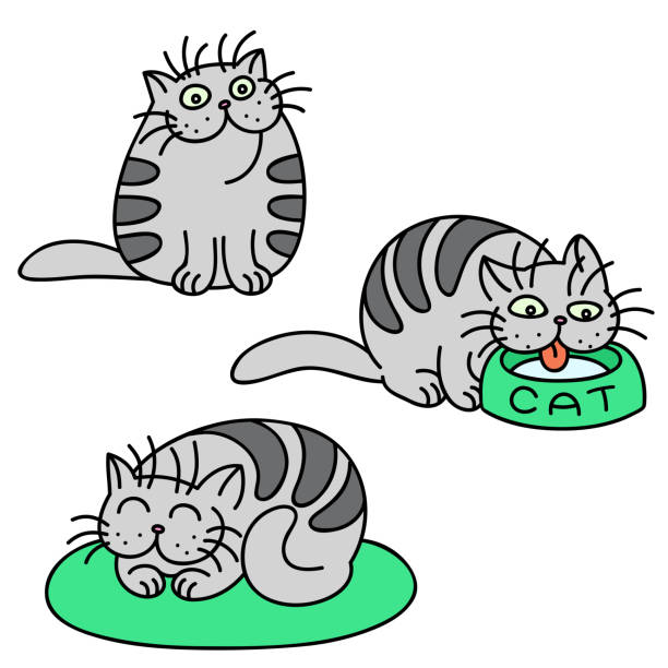 130+ Fat Grey Cat Drawings Illustrations, Royalty-Free Vector Graphics &  Clip Art - Istock
