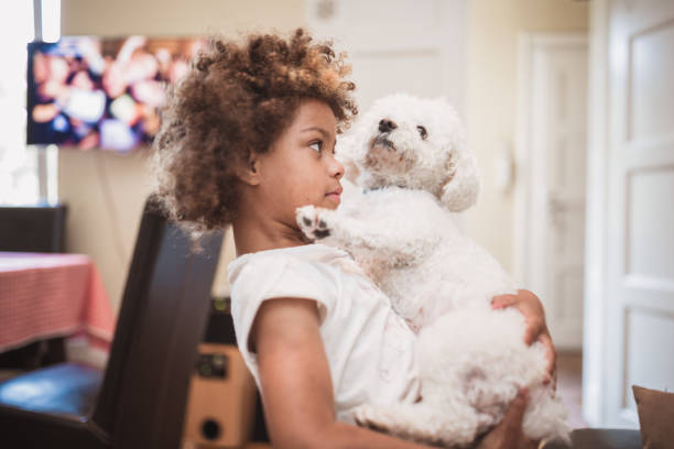 istock Girl and her white dog, indoors 981760404