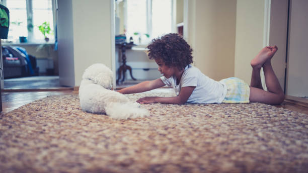 istock Girl and her white dog, indoors 981760672