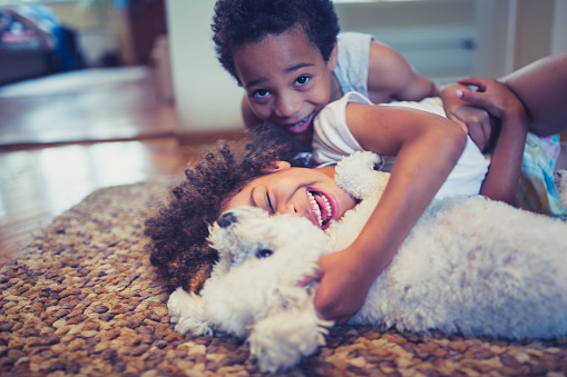 Cute, mixed race siblings, having fun playing with their dog, bichon frise indoors in living room