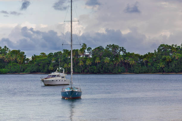istock water transport near the cost with palm trees 981763616