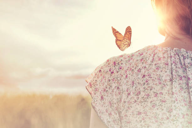 special moment of meeting between a butterfly and a girl in the middle of nature stock photo
