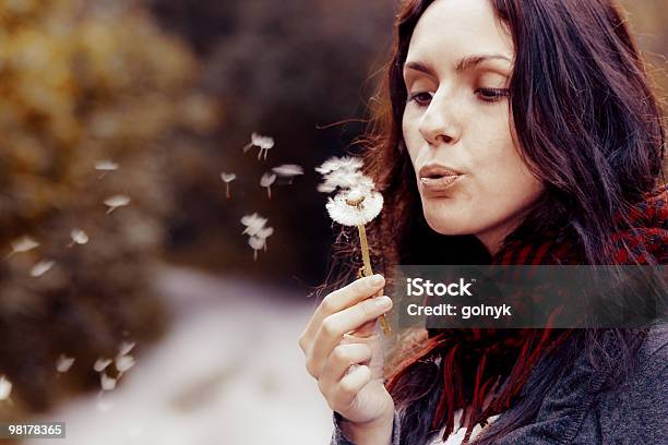 Girl With Dandelion Stock Photo - Download Image Now - Activity, Adult, Adults Only