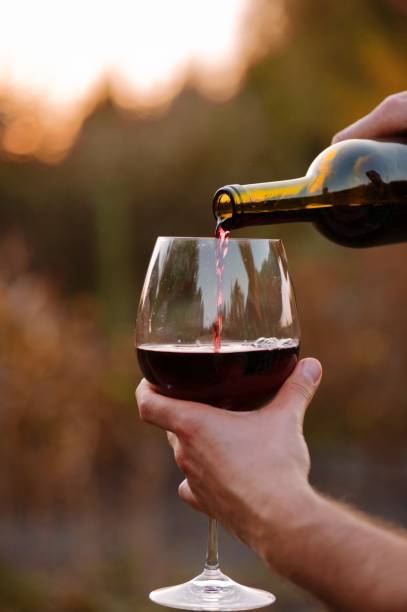istock Midsection Of Person Holding Drinking Glass 981787646