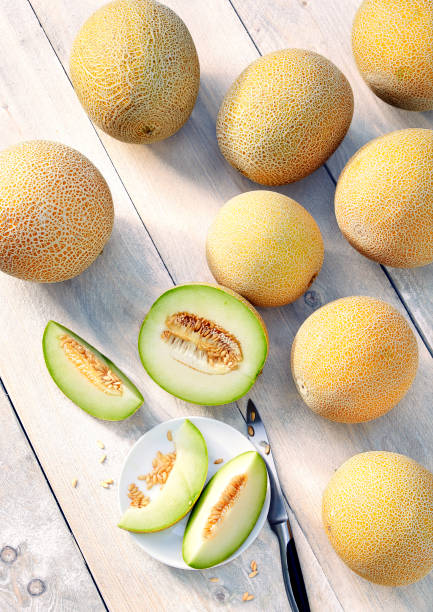 cantalupe galia melons on a wooden table