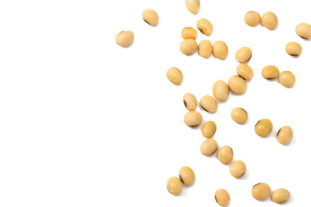 istock Soybeans isolated on white background. top view 981796486