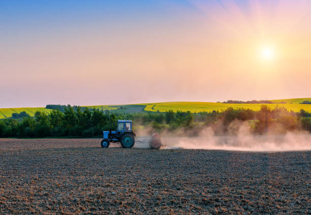 istock the tractor pulls the plow in the field on sunset 981806550