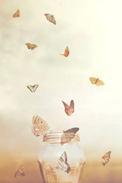 Photo of freedom and fantasy concepts for a group of prisoners butterflies in a vase