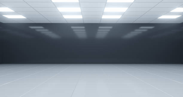 istock Closeup Black And White Empty Room With Square Lights On Ceiling And Reflective Floor. 3D Rendering 981814188