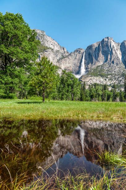 istock Yosemite national park,USA 981814434